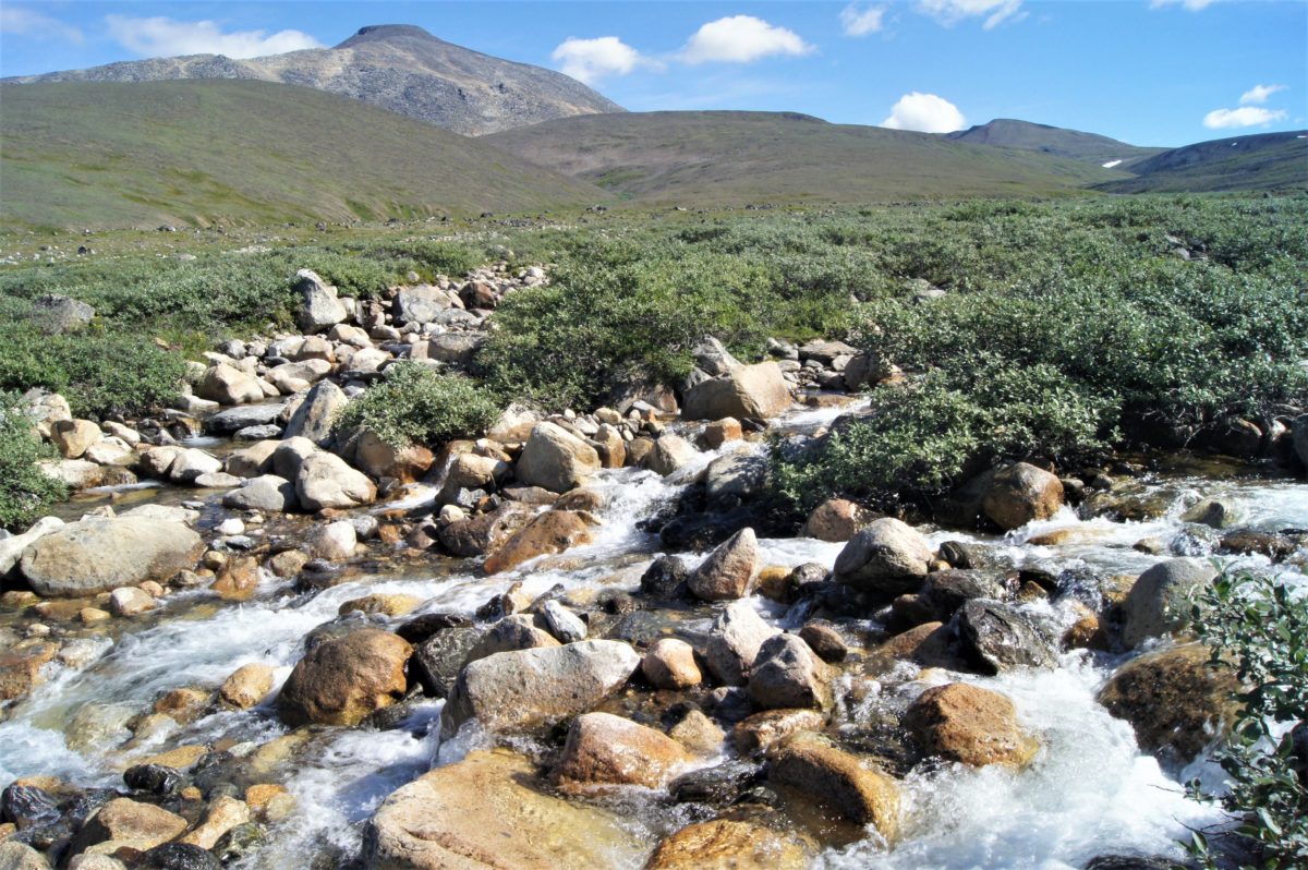 Tundra streambed © Bathsheba Demuth, used with permission for Floating Coast review.