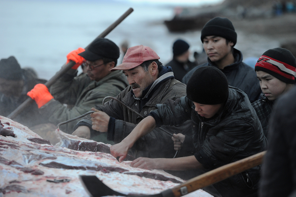Traditional whale harvest in Chukotka, Russia, photo © Andrey Shapran used for post about Yuri Rytkheu